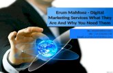 Erum Mahfooz - Digital Marketing Services What They Are And Why You Need