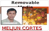 MELJUN CORTES computer organization_lecture_chapter11_removable_media