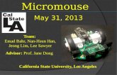 Micromouse Presentation no video