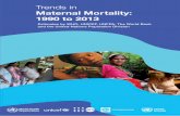 Trends in Maternal Mortality: 1990 to 2013