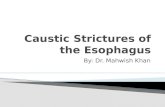 Caustic strictures of the esophagus