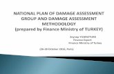 Damage Assessment Methodology, Zeynep Yilmazturk, Finance Ministry, Turkey
