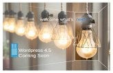 Wordpress 4.5