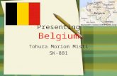 Belgium country profile