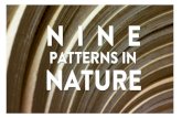 Nine patterns in nature by CuriOdssey