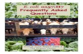 E. coli o157:H7 Frequently Asked Questions