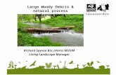 Large Woody Debris & natural process interventions’ by Richard Spyvee (Gloucestershire Wildlife Trust)