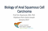 Biology of Anal Squamous Cell Carcinoma