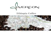 Ethiopia Coffee Presentation_Mercon
