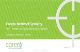 DDoS - a Modern Day Opportunity for Service Providers