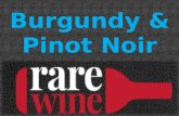 Burgundy & Pinot Noir Wine
