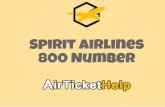 Spirit airlines 800 number air ticket help