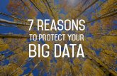 7 Reasons to Protect Your Big Data