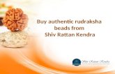 Buy authentic rudraksha beads from Shiv Rattan Kendra Slide