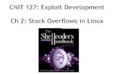 CNIT 127 Ch 2: Stack overflows on Linux