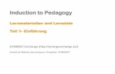 SYNERGY Induction to Pedagogy Programme - Learning Materials and Objectives (GERMAN)