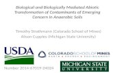 Biological and Biologically Mediated Abiotic Transformation of Contaminants of Emerging Concern in Anaerobic Soils