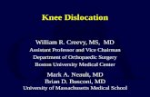 L06 knee dislocations