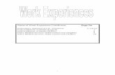 Copies of Work Experiences Cetificates