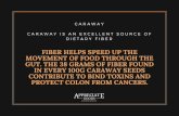 12 Incredible Health Benefits of Caraway - Appreciate Goods