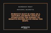 13 Wonderful Health Benefits of Burdock Root  - Appreciate Goods