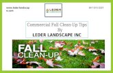Commercial fall clean up tips by Landscaping company