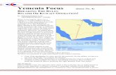 Yemenia focus 4   - BREAKING THE RULES