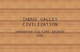 Indus valley civilization  tyba