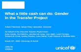 Gender in the Transfer Project