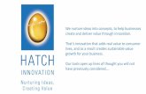 Hatch Innovation Ltd Introduction
