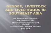 Integrating gender into livestock programs in southeast asia