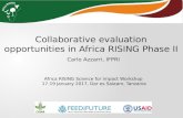Collaborative evaluation opportunities in Africa RISING Phase II