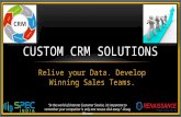 Custom CRM Solutions : Relive your Data. Develop Winning Sales Teams