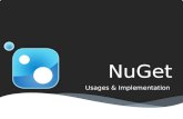 Understanding NuGet implementation for Enterprises