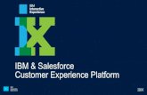 IBM & Salesforce Customer Experience Platform