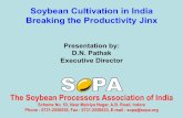 Soyabean production in India – how to break the jinx of low yields