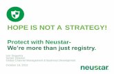 15. neustar hopeisnotastrategyrchs-131118081053-phpapp01