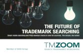 TMZOOM Trademark Search Platform