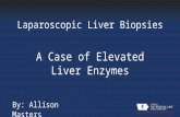 Laparoscopic Liver Biopsies