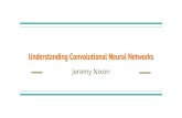 Understanding Convolutional Neural Networks