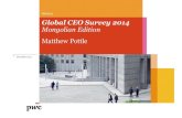 16.10.2014, Global CEO Survey 2014,  Matthew Pottle