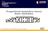 Proportional hydraulics valves
