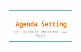 Agenda Setting Theory Journal Article Discussion