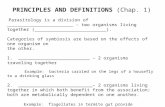 Principles And  Definitions