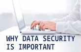 Why Data Security is Important