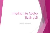 Interfaz de Adobe Flash