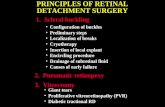 41 principles retinal detachment surgery