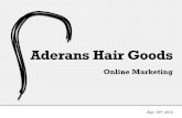 Aderans Online Marketing April 2012