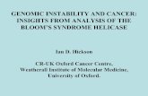 GENOMIC INSTABILITY AND CANCER: INSIGHTS FROM ...
