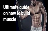 Ultimate Bodybuilding Diet Plan For How to Build Muscle